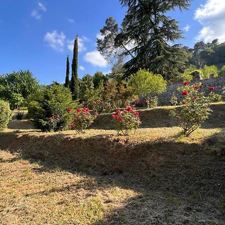 Borgo Al Canto Degli Alberi Лукка Екстер'єр фото